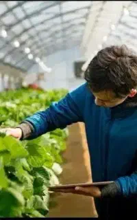 کارشناس کشاورزی/ زراعی /باغی /تغذیه و آفات