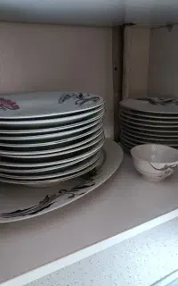 سرویس ۱۸ نفره