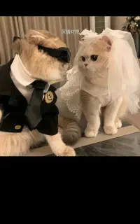 واگذاری قبول میکنم