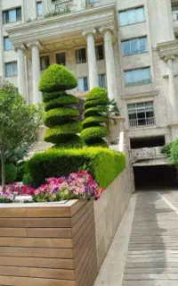 سمپاشی باغبانی طراحی اجرای فضای سبز به صورت تخصصی