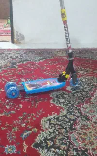 اسکوتر