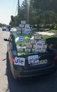 چای ارزان 300هزار