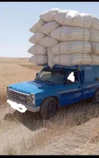 کاه گندم و لوبیا درجه یک/ ۱۸۰۰۰