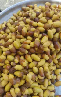 رطب