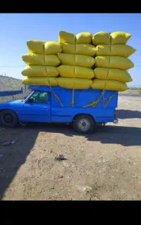 خرید فروش کاه گندم کاه مغان وزنجان