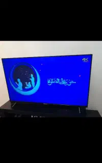 تلویزیون