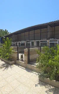 کارگر بسته بندی غذای سگ