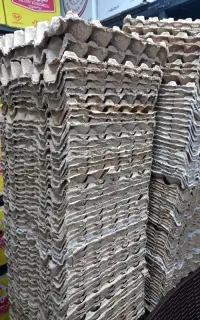 شانه تخم مرغ