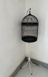 قفس پرنده