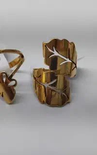 اکسسوری و بدلیجات