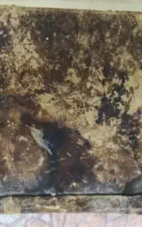 کتاب جذب