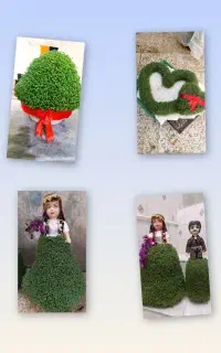 سبزه عروسی سفارشی آماده