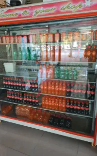 دو عدد یخچال