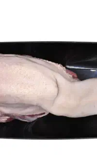 زبان گوساله فیله درجه ۱