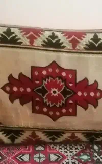 پشتی درحدنو
