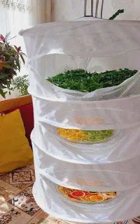 توری میوه خشکن و سبزیجات