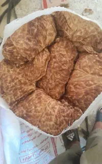 برگ زرد