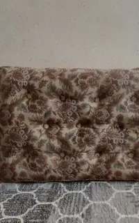 دو عدد پشتی