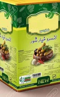 استخدام ویزیتور