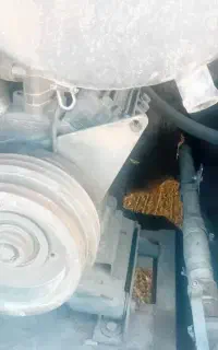 کولر آکیا اتوبوس سالم
