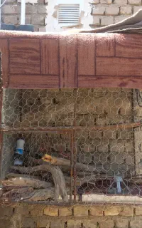 قفس ۱و۲۰ در ۱و۲۰
