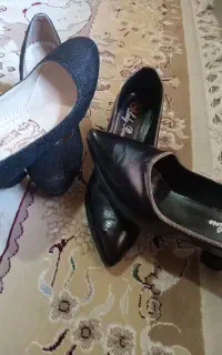 کفش مجلسی در حد نوع