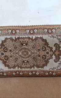 یک جفت پشتی سالم