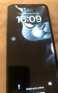 ایفون x 256
