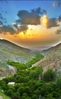 تور گردشگری
