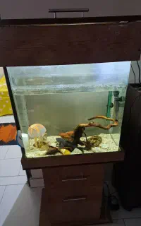 اکواریوم ام دی اف