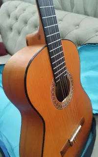 گیتار matapoor