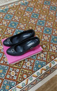 کفش مجلسی