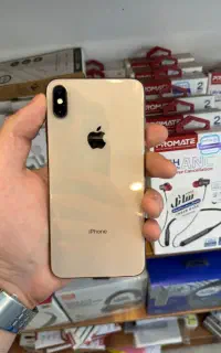 Xs max 256