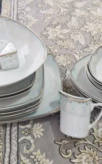 سرویس چینی پردیس