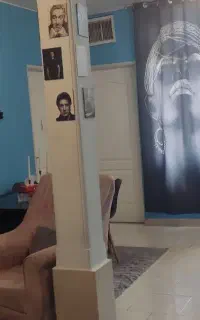 امور منزل. خانم