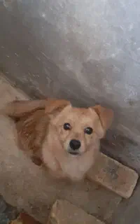 شرایت جا نداریم