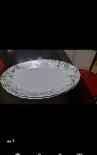 دیس غذا خوری