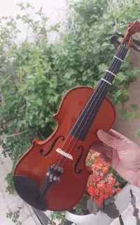 ویولون 1/4 درحد نو tf