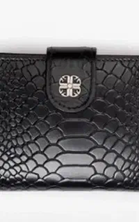 کیف گمشده