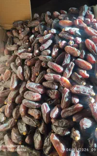 خرما خشک ربی مضافتی