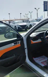 دانگ فنگ شاین مکس