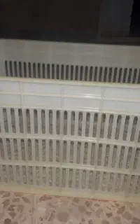 سبد  انگور