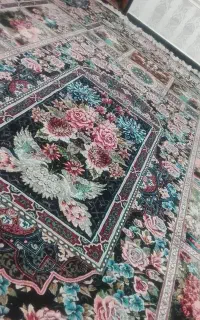 در حد نو