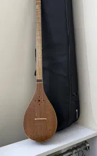 سه تار مجید