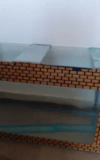 آکواریوم معاوضه با جوجه بُل