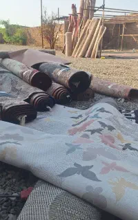 قالیشویی وزرا