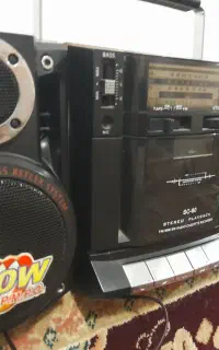 ظبط کاست