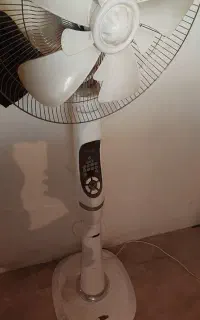 پنکه
