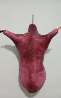 نی انبان