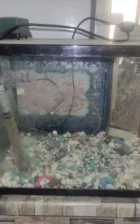 آکواریوم شیشه خم